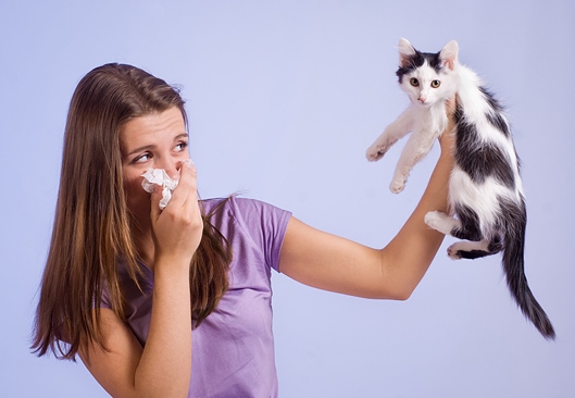 Аллергия на животных Bene Vobis